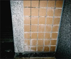 浴室タイル壁 施工前